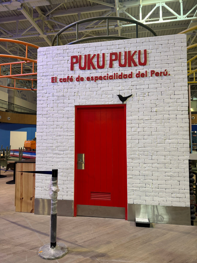 Puku Aeropuerto